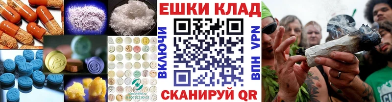 Ecstasy Philipp Plein  мориарти какой сайт  Ковров 